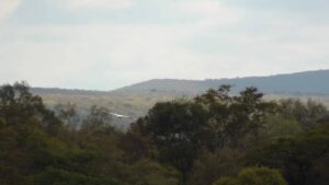 Zona del Cerro León. Territorio Ayoreo