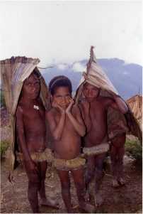 papua_1_20080617_1033385048