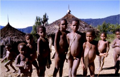 papua_2_20080617_1500554115