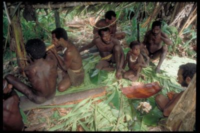 papua_31_20080617_1368174756