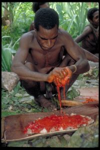 papua_42_20080617_1816447796