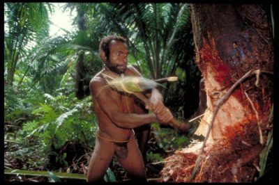 papua_44_20080617_1306452217