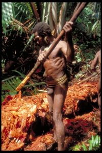 papua_45_20080617_1167144317