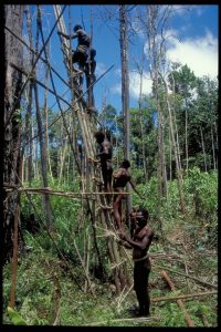 papua_46_20080617_1467419921