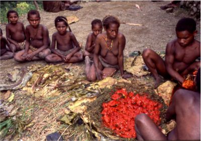 papua_6_20080617_1495951010