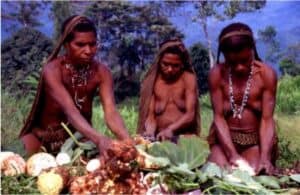 papua_72_20080617_1163037222