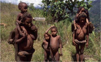 papua_73_20080617_1408275646