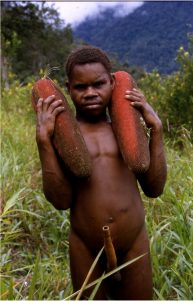 papua_75_20080617_1640515609