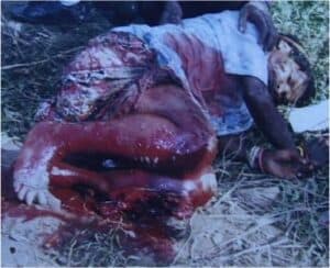 papua_8_20080617_1339061547